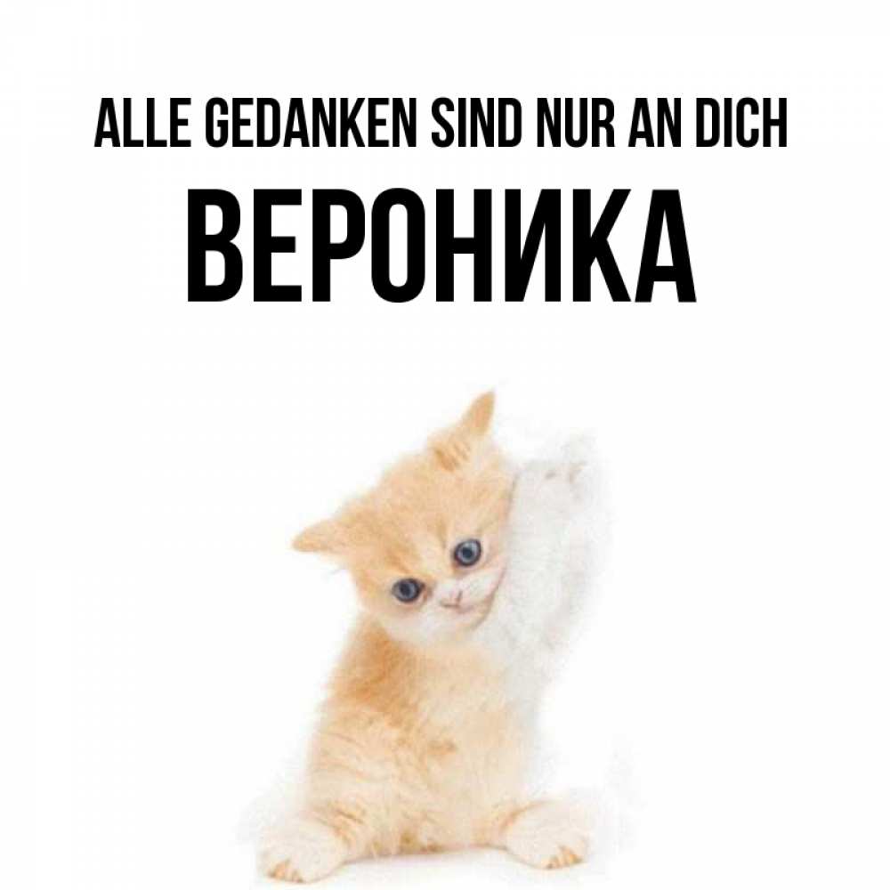 Открытка на каждый день с именем, Вероника Alle Gedanken sind nur an dich зверушки и милота Прикольная открытка с пожеланием онлайн скачать бесплатно 