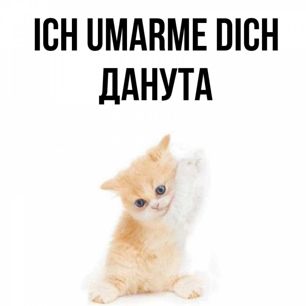 Открытка на каждый день с именем, Данута Ich umarme dich я хочу очень скорее обнимаешек Прикольная открытка с пожеланием онлайн скачать бесплатно 
