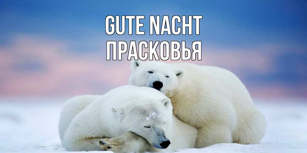 Открытка на каждый день с именем, Прасковья Gute Nacht белые медведи спят в обнимку Прикольная открытка с пожеланием онлайн скачать бесплатно 