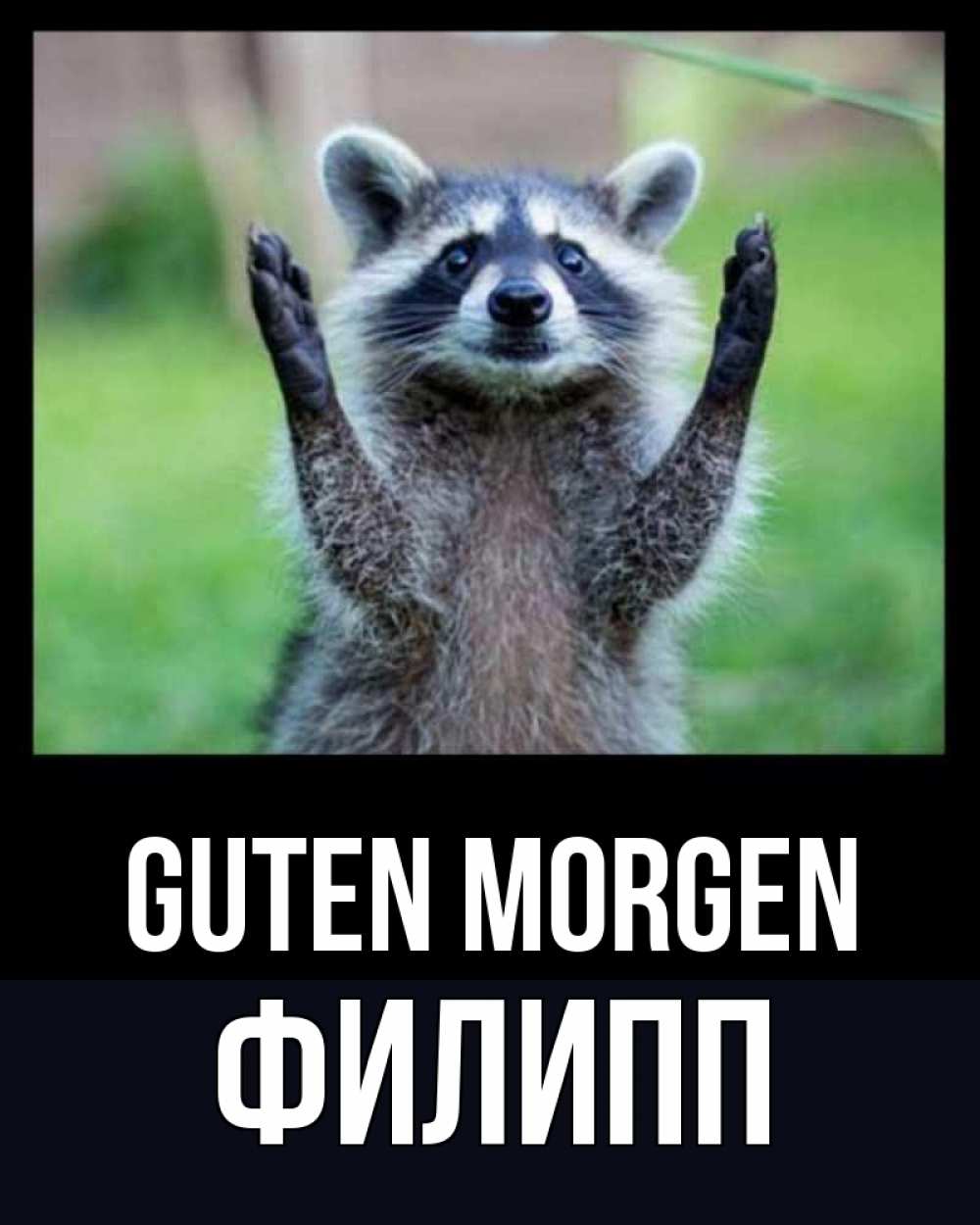 Открытка на каждый день с именем, Филипп Guten Morgen хорошее настроение утречком Прикольная открытка с пожеланием онлайн скачать бесплатно 