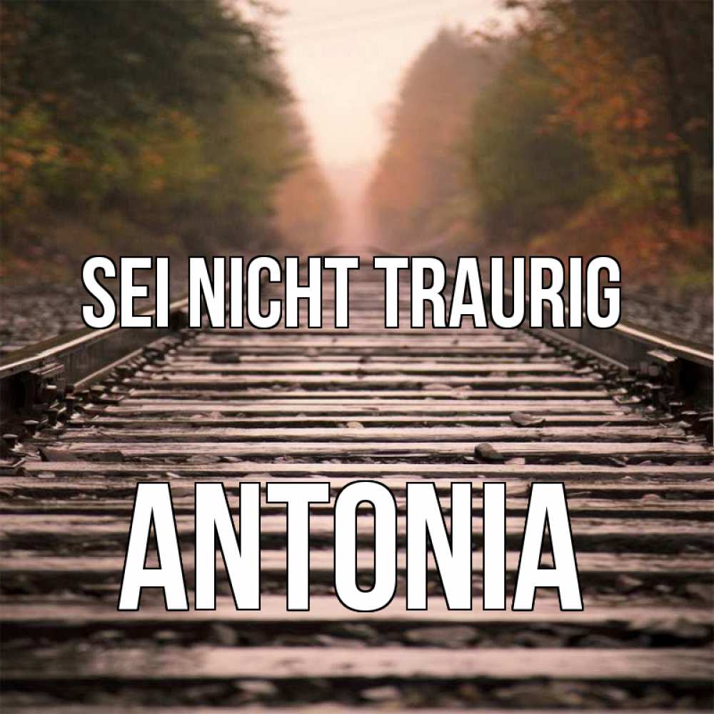 Открытка на каждый день с именем, Antonia Sei nicht traurig лес и железная дорога Прикольная открытка с пожеланием онлайн скачать бесплатно 