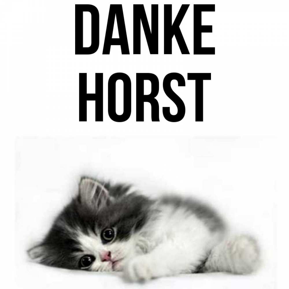 Открытка на каждый день с именем, Horst Danke черный и белый кот Прикольная открытка с пожеланием онлайн скачать бесплатно 