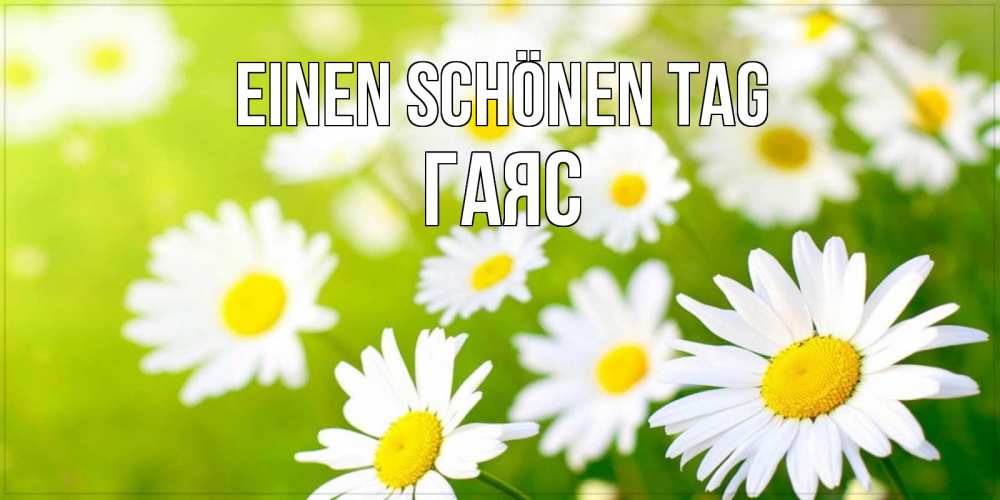 Открытка на каждый день с именем, Гаяс Einen schönen Tag открытка с ромашками на зеленом фоне Прикольная открытка с пожеланием онлайн скачать бесплатно 