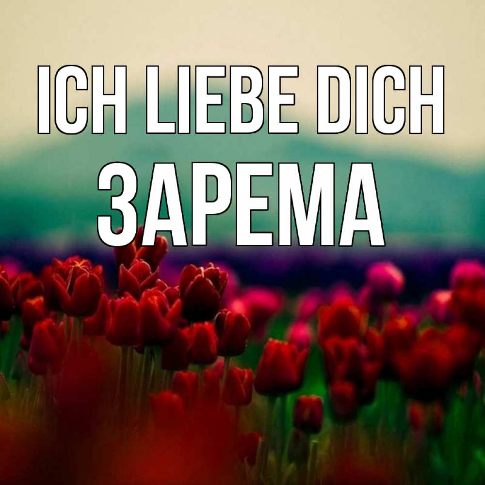 Открытка на каждый день с именем, Зарема Ich liebe dich тюльпаны 4 Прикольная открытка с пожеланием онлайн скачать бесплатно 