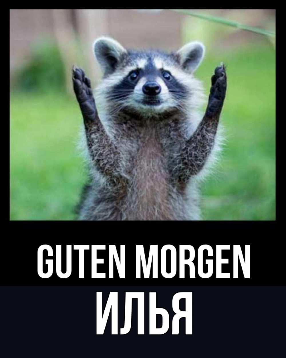 Открытка на каждый день с именем, Илья Guten Morgen хорошее настроение утречком Прикольная открытка с пожеланием онлайн скачать бесплатно 