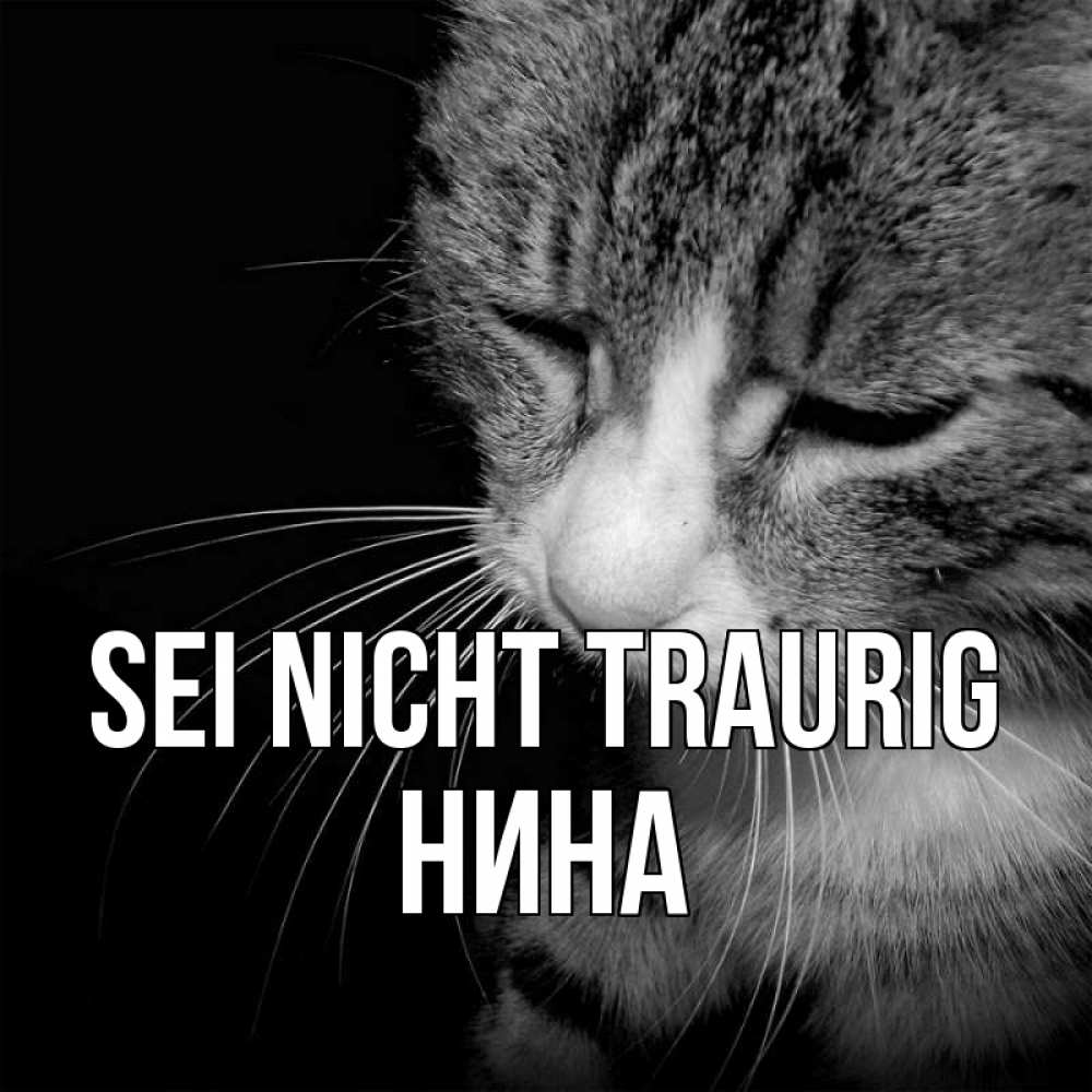Открытка на каждый день с именем, Нина Sei nicht traurig грустный котик Прикольная открытка с пожеланием онлайн скачать бесплатно 