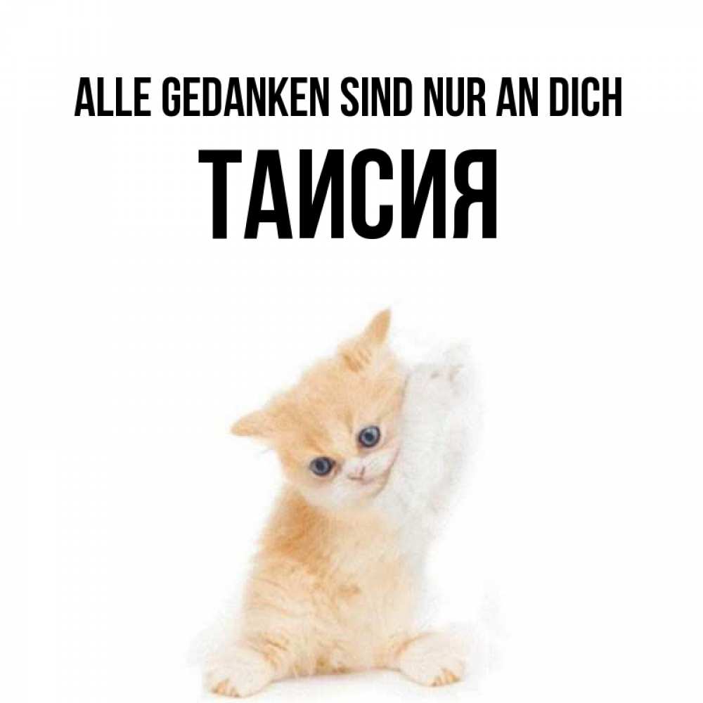 Открытка на каждый день с именем, Таисия Alle Gedanken sind nur an dich зверушки и милота Прикольная открытка с пожеланием онлайн скачать бесплатно 