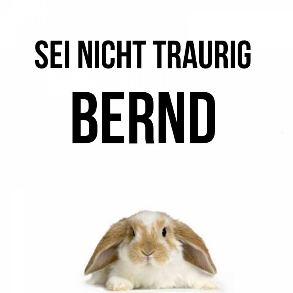 Открытка на каждый день с именем, Bernd Sei nicht traurig коричнево белый заяц с большими ушками Прикольная открытка с пожеланием онлайн скачать бесплатно 