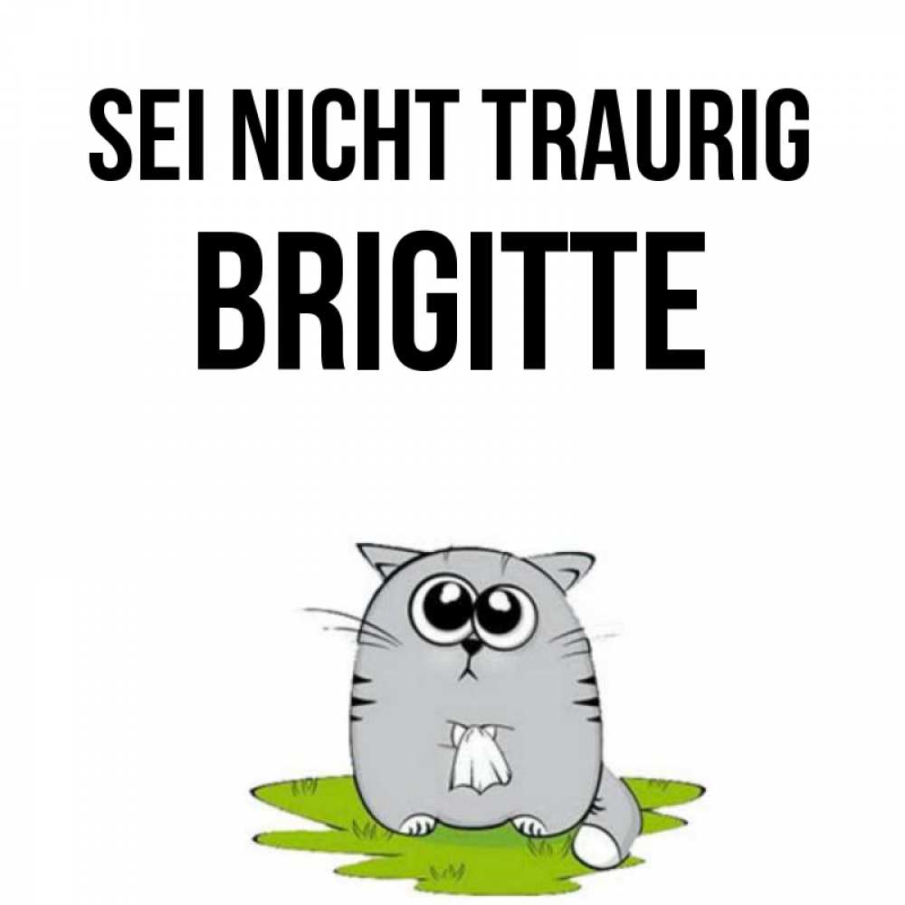 Открытка на каждый день с именем, Brigitte Sei nicht traurig грустный котяра Прикольная открытка с пожеланием онлайн скачать бесплатно 