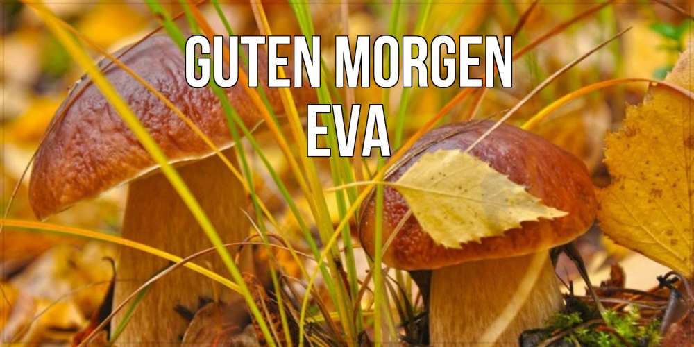Открытка на каждый день с именем, Eva Guten Morgen осенние грибы Прикольная открытка с пожеланием онлайн скачать бесплатно 