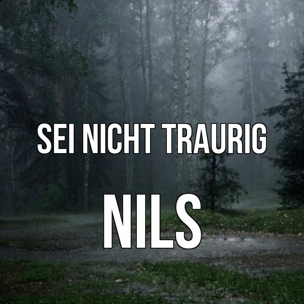 Открытка на каждый день с именем, Nils Sei nicht traurig осень Прикольная открытка с пожеланием онлайн скачать бесплатно 