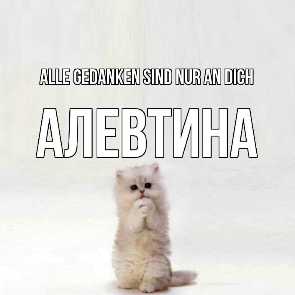Открытка на каждый день с именем, Алевтина Alle Gedanken sind nur an dich кот стоит на задних лапах Прикольная открытка с пожеланием онлайн скачать бесплатно 