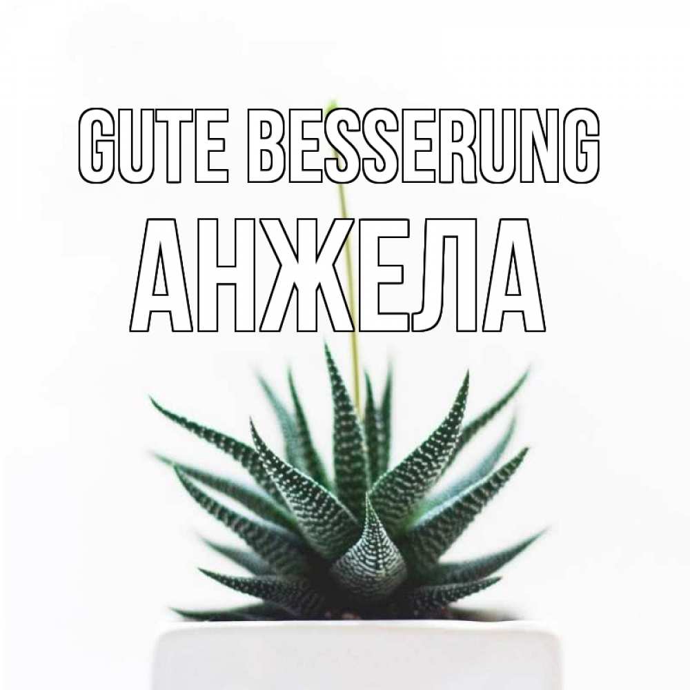 Открытка на каждый день с именем, Анжела Gute Besserung короче это непонятная колючка Прикольная открытка с пожеланием онлайн скачать бесплатно 