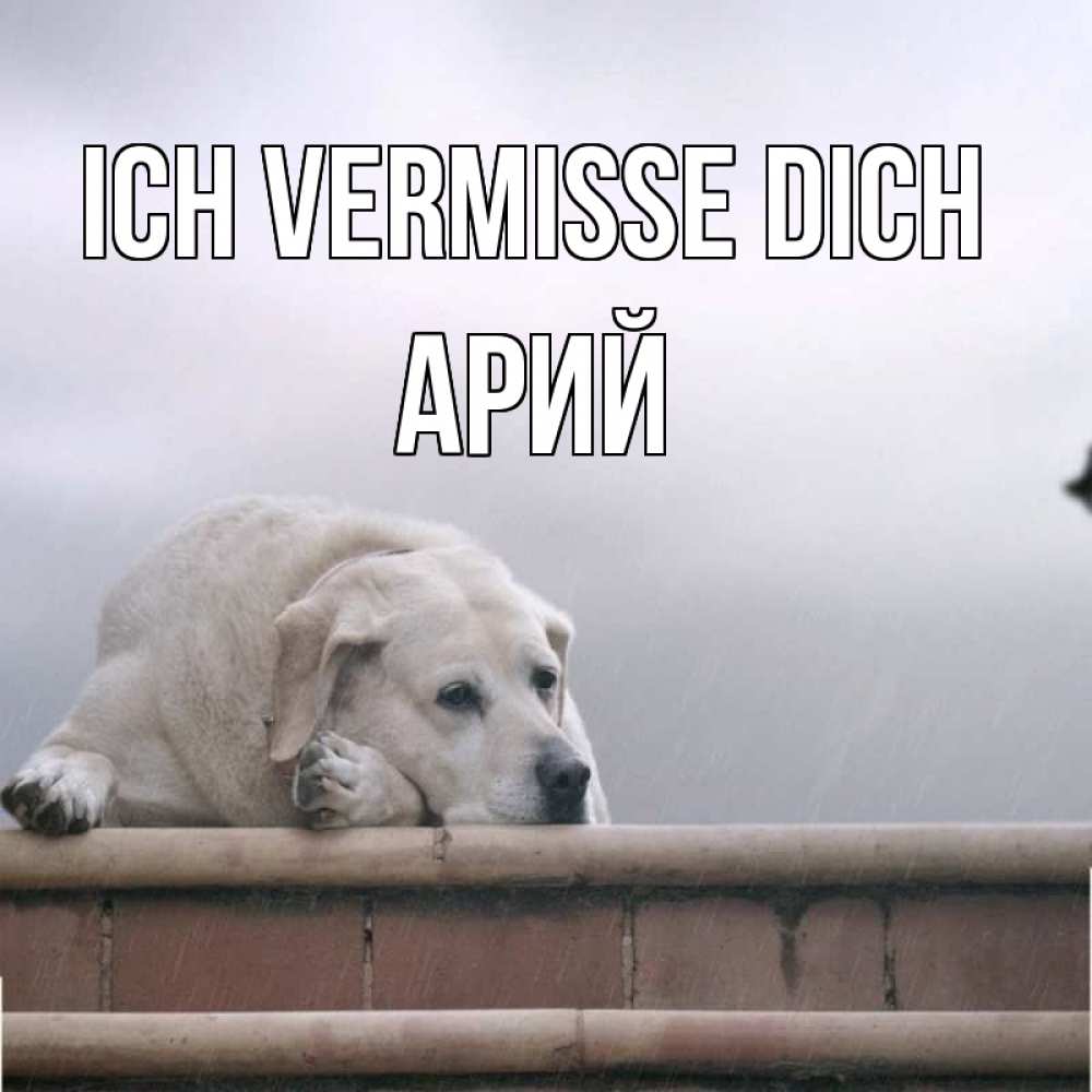 Открытка на каждый день с именем, Арий Ich vermisse dich ждет Прикольная открытка с пожеланием онлайн скачать бесплатно 