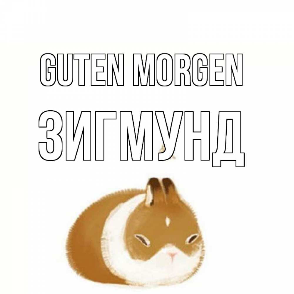 Открытка на каждый день с именем, Зигмунд Guten Morgen хорошего утречка Прикольная открытка с пожеланием онлайн скачать бесплатно 