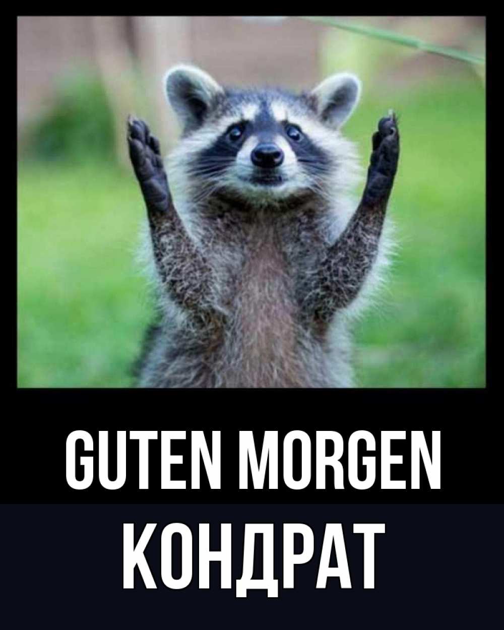 Открытка на каждый день с именем, Кондрат Guten Morgen хорошее настроение утречком Прикольная открытка с пожеланием онлайн скачать бесплатно 