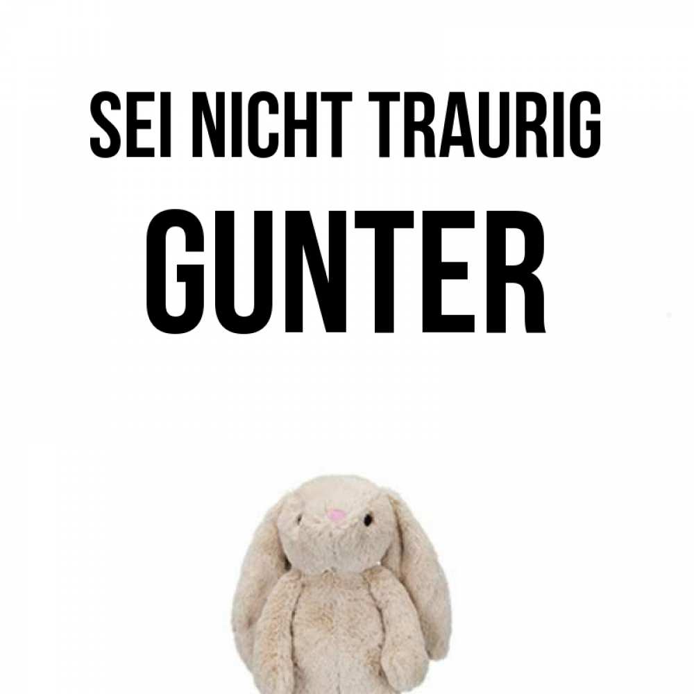 Открытка на каждый день с именем, Gunter Sei nicht traurig детская игрушка зайчика Прикольная открытка с пожеланием онлайн скачать бесплатно 