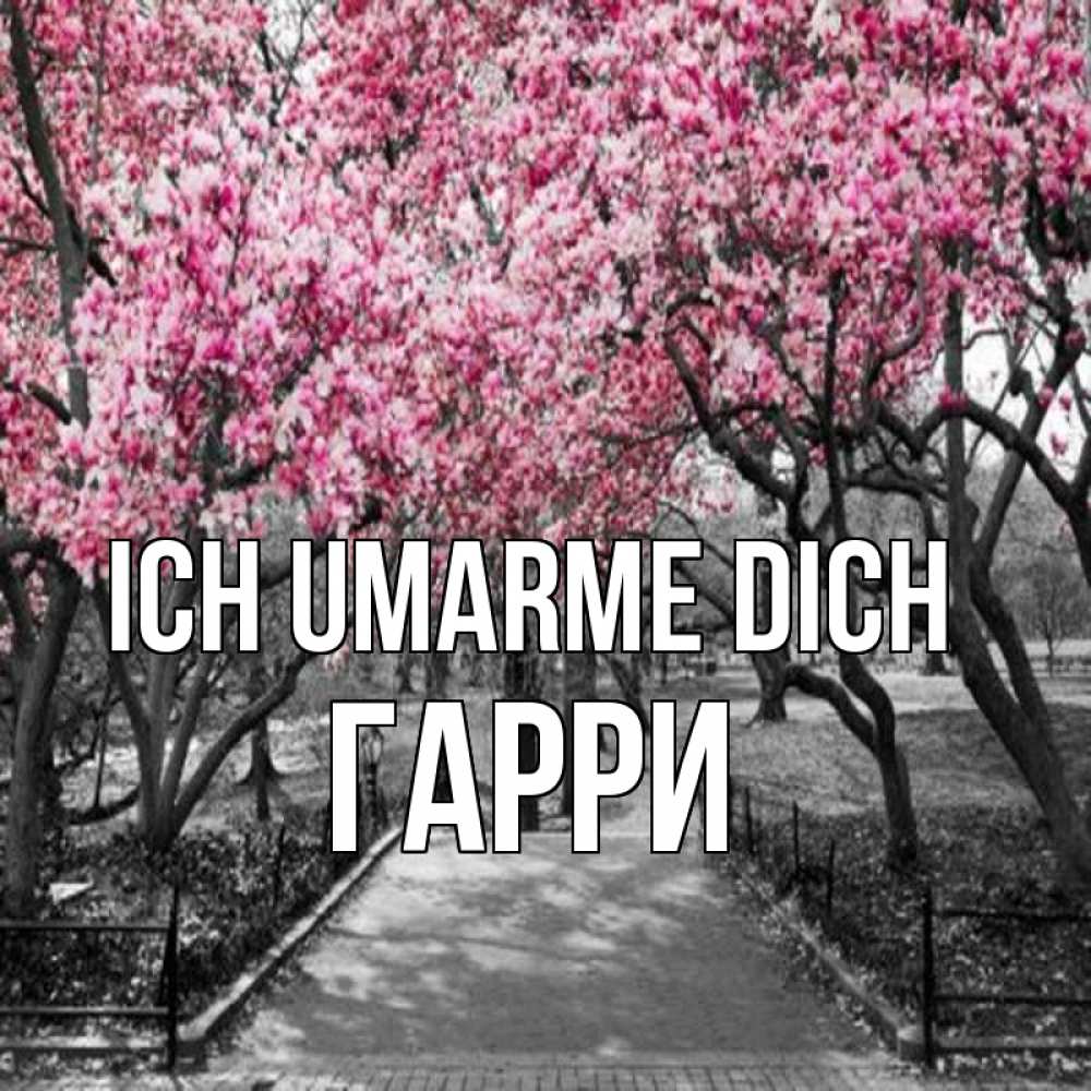 Открытка на каждый день с именем, Гарри Ich umarme dich обработанное фото Прикольная открытка с пожеланием онлайн скачать бесплатно 