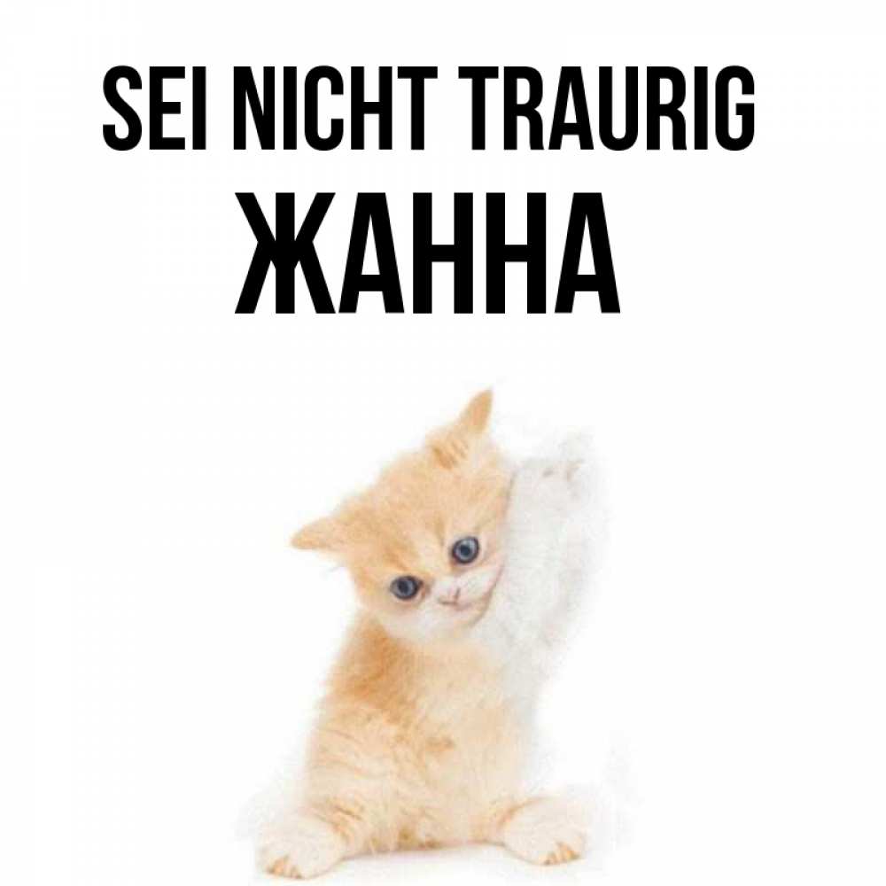 Открытка на каждый день с именем, Жанна Sei nicht traurig просящий кот Прикольная открытка с пожеланием онлайн скачать бесплатно 
