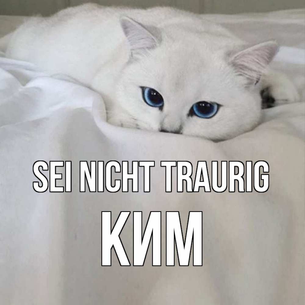 Открытка на каждый день с именем, Ким Sei nicht traurig белый кот с голубыми глазами на белоснежной кровати Прикольная открытка с пожеланием онлайн скачать бесплатно 