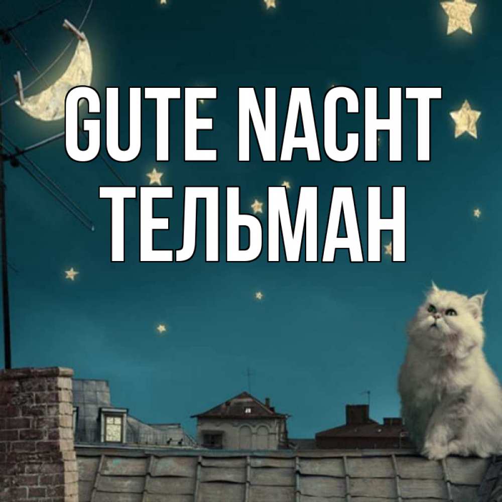 Открытка на каждый день с именем, Тельман Gute Nacht белый кот сидит на крыше Прикольная открытка с пожеланием онлайн скачать бесплатно 