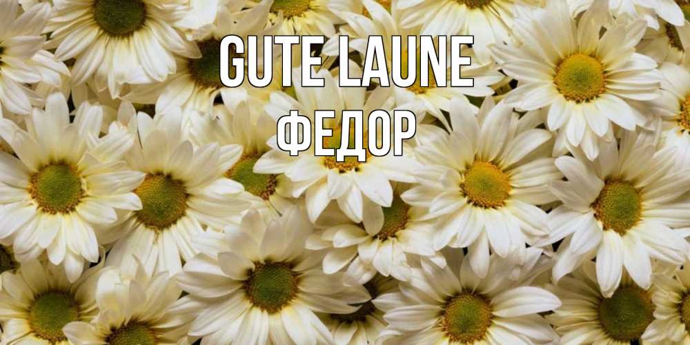 Открытка на каждый день с именем, Федор Gute Laune крупные ромашки Прикольная открытка с пожеланием онлайн скачать бесплатно 