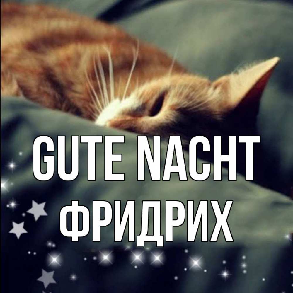Открытка на каждый день с именем, Фридрих Gute Nacht кроватка Прикольная открытка с пожеланием онлайн скачать бесплатно 