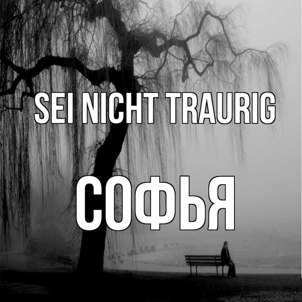 Открытка на каждый день с именем, Софья Sei nicht traurig висящие ветки дерева и лавочка под деревом Прикольная открытка с пожеланием онлайн скачать бесплатно 