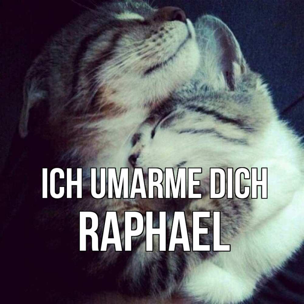 Открытка на каждый день с именем, Raphael Ich umarme dich полосатики Прикольная открытка с пожеланием онлайн скачать бесплатно 