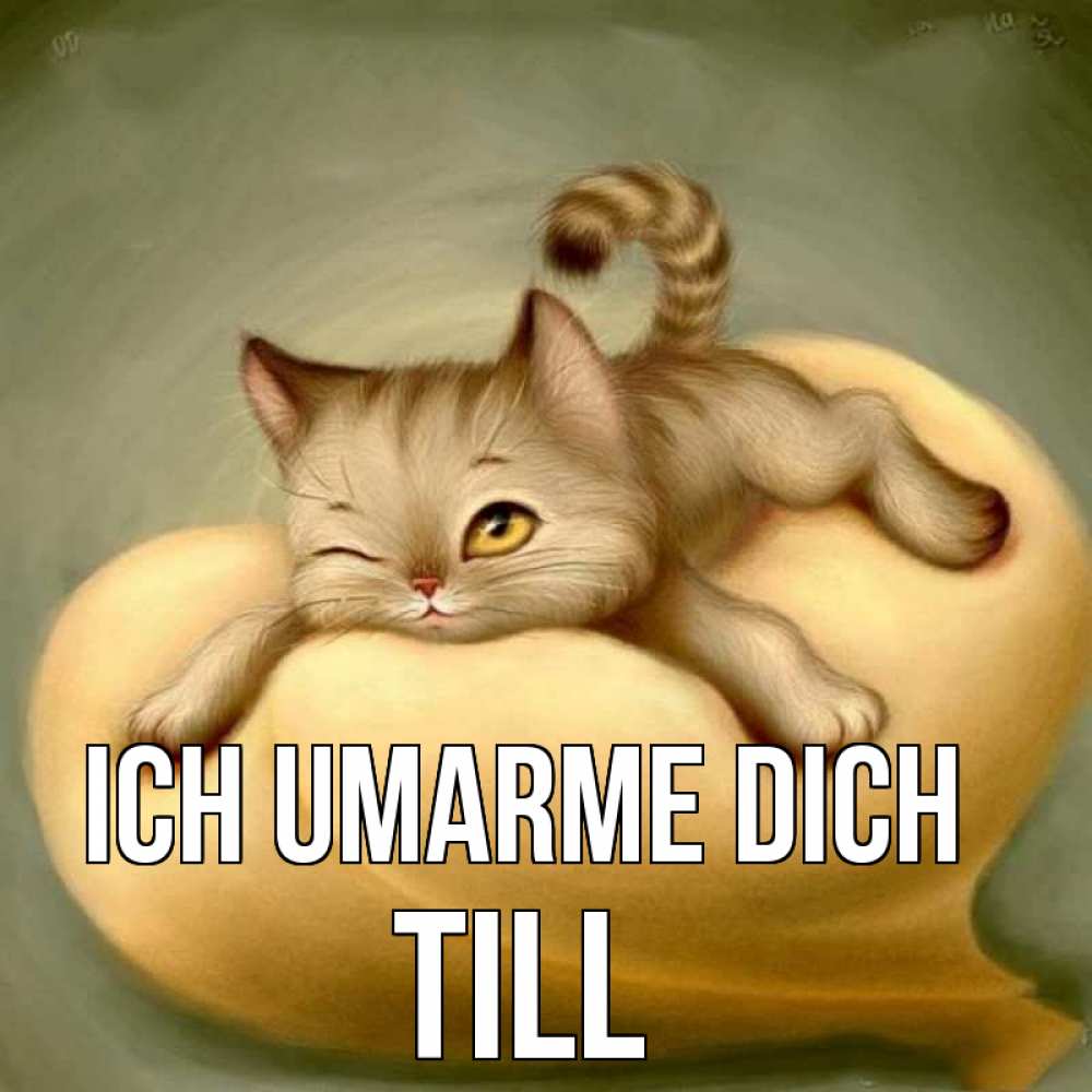 Открытка на каждый день с именем, Till Ich umarme dich кошечка Прикольная открытка с пожеланием онлайн скачать бесплатно 