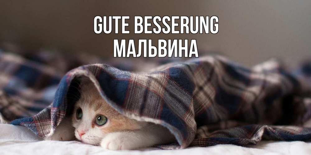 Открытка на каждый день с именем, Мальвина Gute Besserung не болейте с котиком Прикольная открытка с пожеланием онлайн скачать бесплатно 
