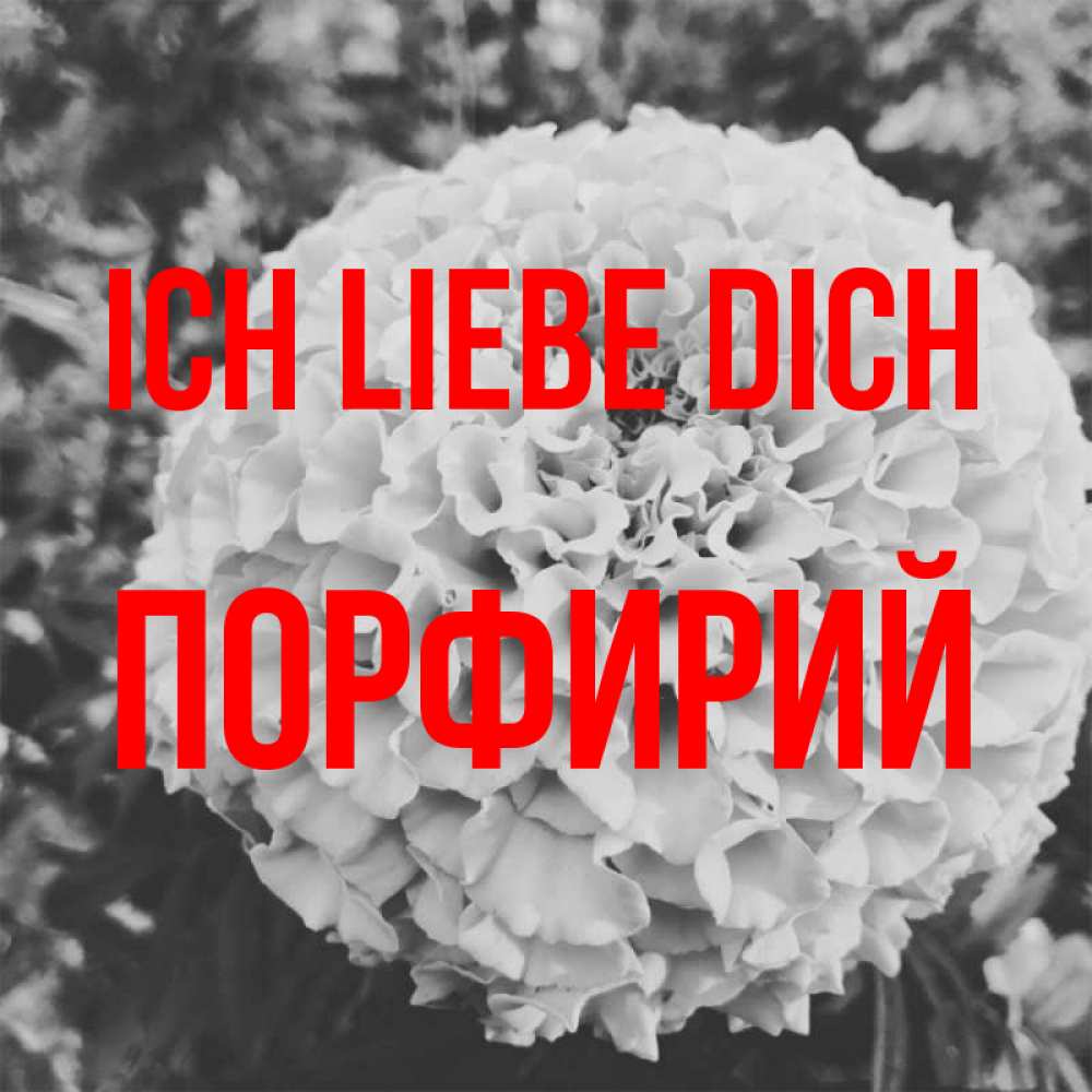 Открытка на каждый день с именем, Порфирий Ich liebe dich подпись Прикольная открытка с пожеланием онлайн скачать бесплатно 