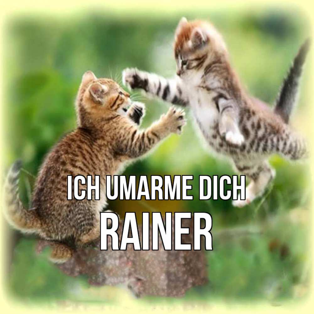Открытка на каждый день с именем, Rainer Ich umarme dich игры котят Прикольная открытка с пожеланием онлайн скачать бесплатно 