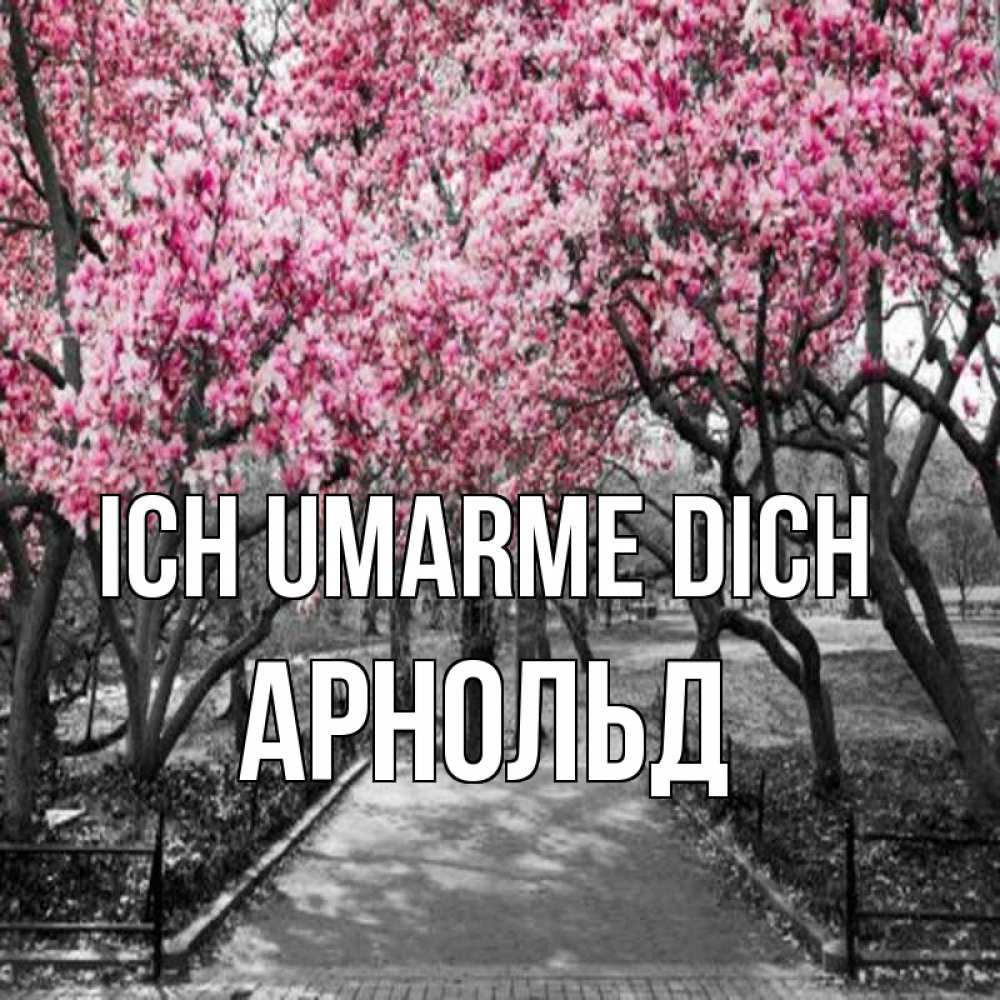 Открытка на каждый день с именем, Арнольд Ich umarme dich обработанное фото Прикольная открытка с пожеланием онлайн скачать бесплатно 
