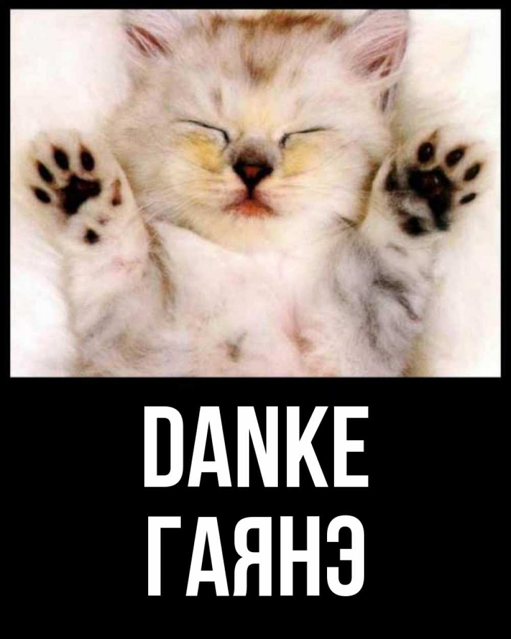 Открытка на каждый день с именем, Гаянэ Danke маленький котенок Прикольная открытка с пожеланием онлайн скачать бесплатно 
