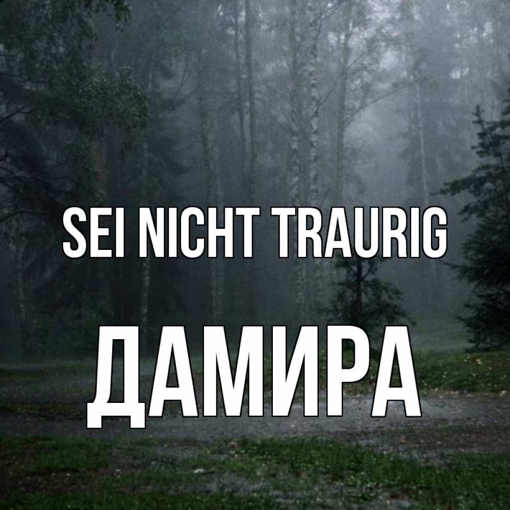 Открытка на каждый день с именем, Дамира Sei nicht traurig осень Прикольная открытка с пожеланием онлайн скачать бесплатно 