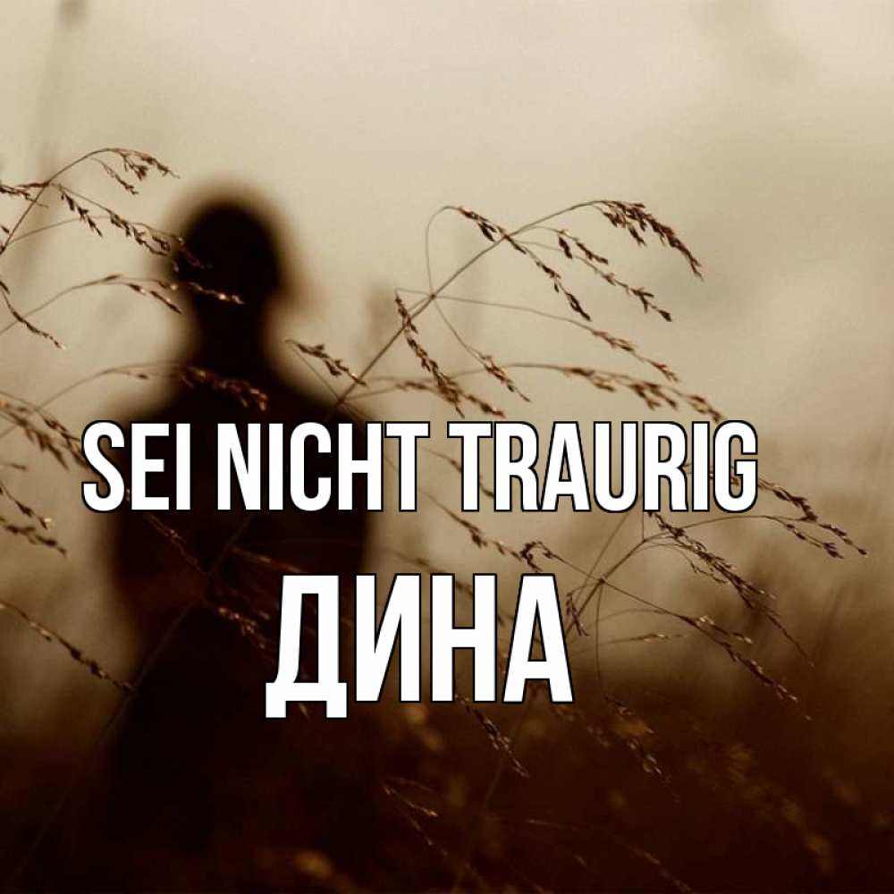 Открытка на каждый день с именем, Дина Sei nicht traurig грусть Прикольная открытка с пожеланием онлайн скачать бесплатно 