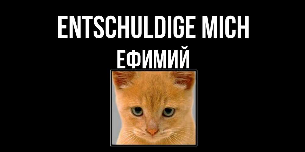 Открытка на каждый день с именем, Ефимий Entschuldige mich рыжий грустный кот просит прощения Прикольная открытка с пожеланием онлайн скачать бесплатно 