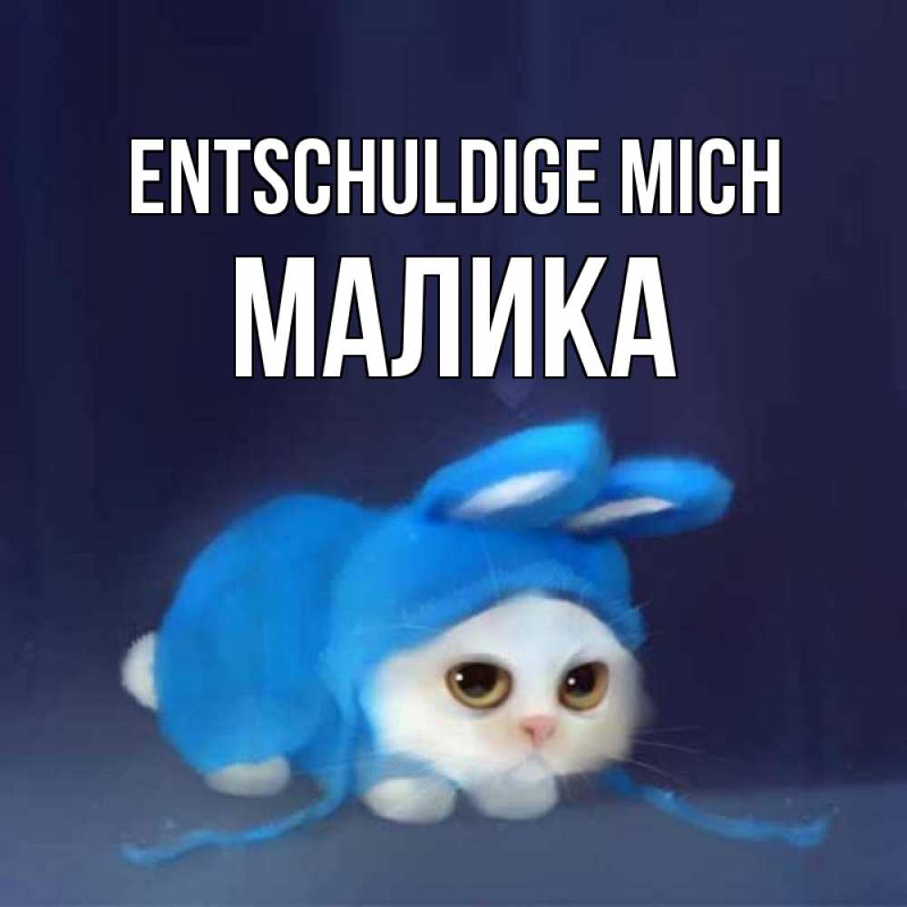 Открытка на каждый день с именем, Малика Entschuldige mich невинный котозай просит прощения Прикольная открытка с пожеланием онлайн скачать бесплатно 