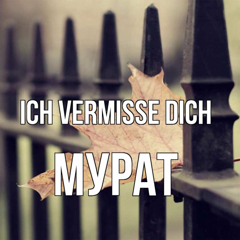 Открытка на каждый день с именем, Мурат Ich vermisse dich очень скучно Прикольная открытка с пожеланием онлайн скачать бесплатно 