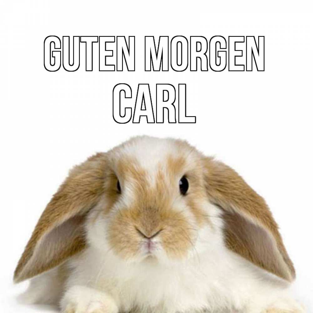 Открытка на каждый день с именем, Carl Guten Morgen прикольные открытки на каждый день Прикольная открытка с пожеланием онлайн скачать бесплатно 