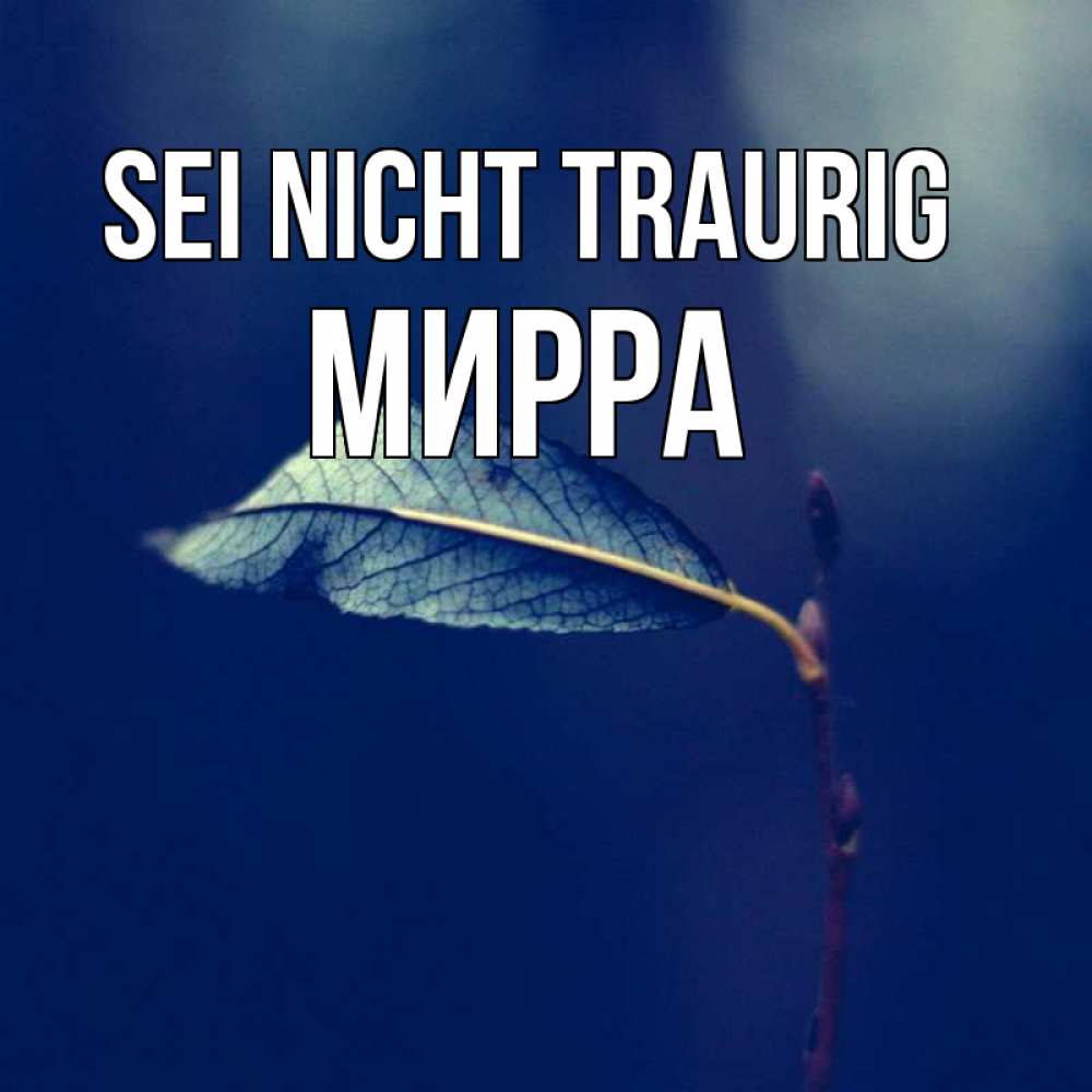 Открытка на каждый день с именем, Мирра Sei nicht traurig растение Прикольная открытка с пожеланием онлайн скачать бесплатно 