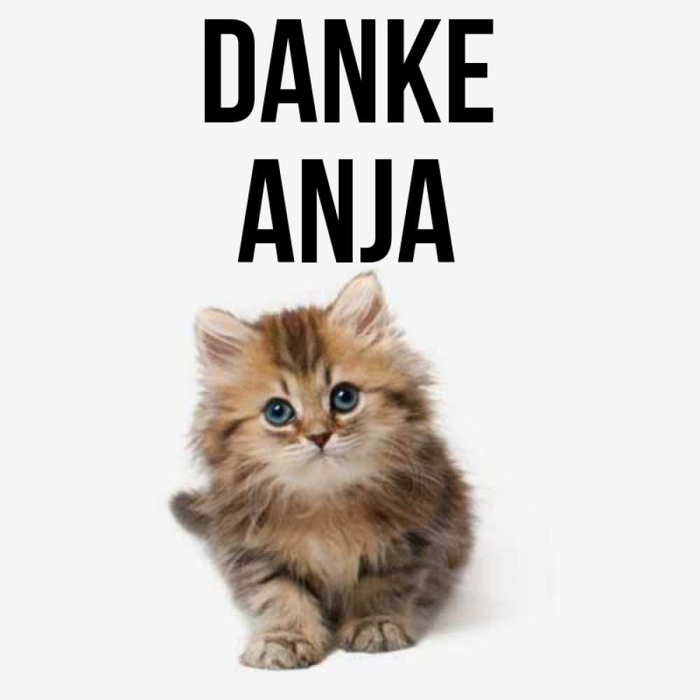 Открытка на каждый день с именем, Anja Danke пушистый котик Прикольная открытка с пожеланием онлайн скачать бесплатно 