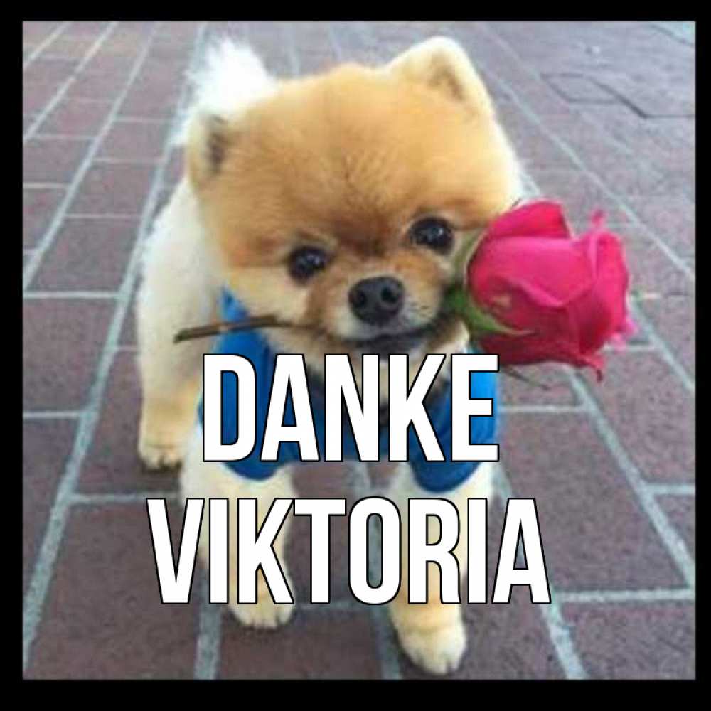 Открытка на каждый день с именем, Viktoria Danke спасибо и дарю тебе цветок Прикольная открытка с пожеланием онлайн скачать бесплатно 