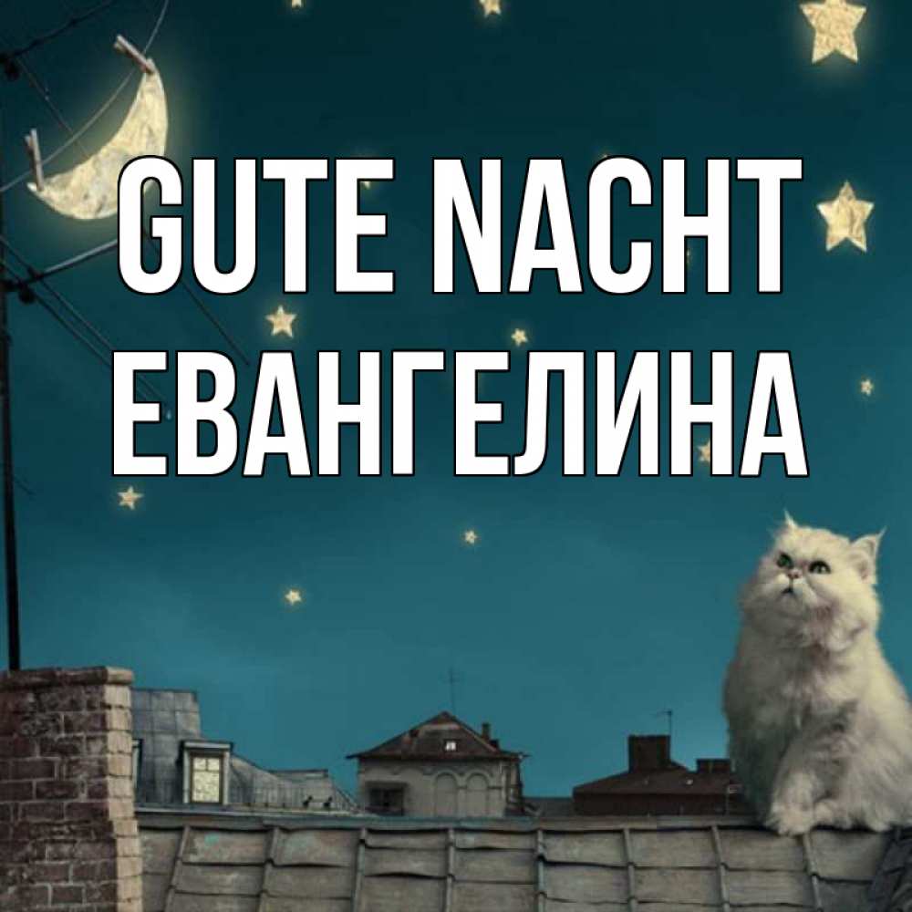 Открытка на каждый день с именем, Евангелина Gute Nacht белый кот сидит на крыше Прикольная открытка с пожеланием онлайн скачать бесплатно 