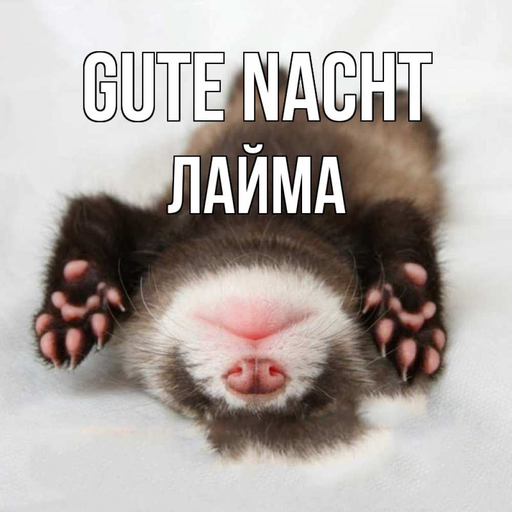 Открытка на каждый день с именем, Лайма Gute Nacht зверек Прикольная открытка с пожеланием онлайн скачать бесплатно 