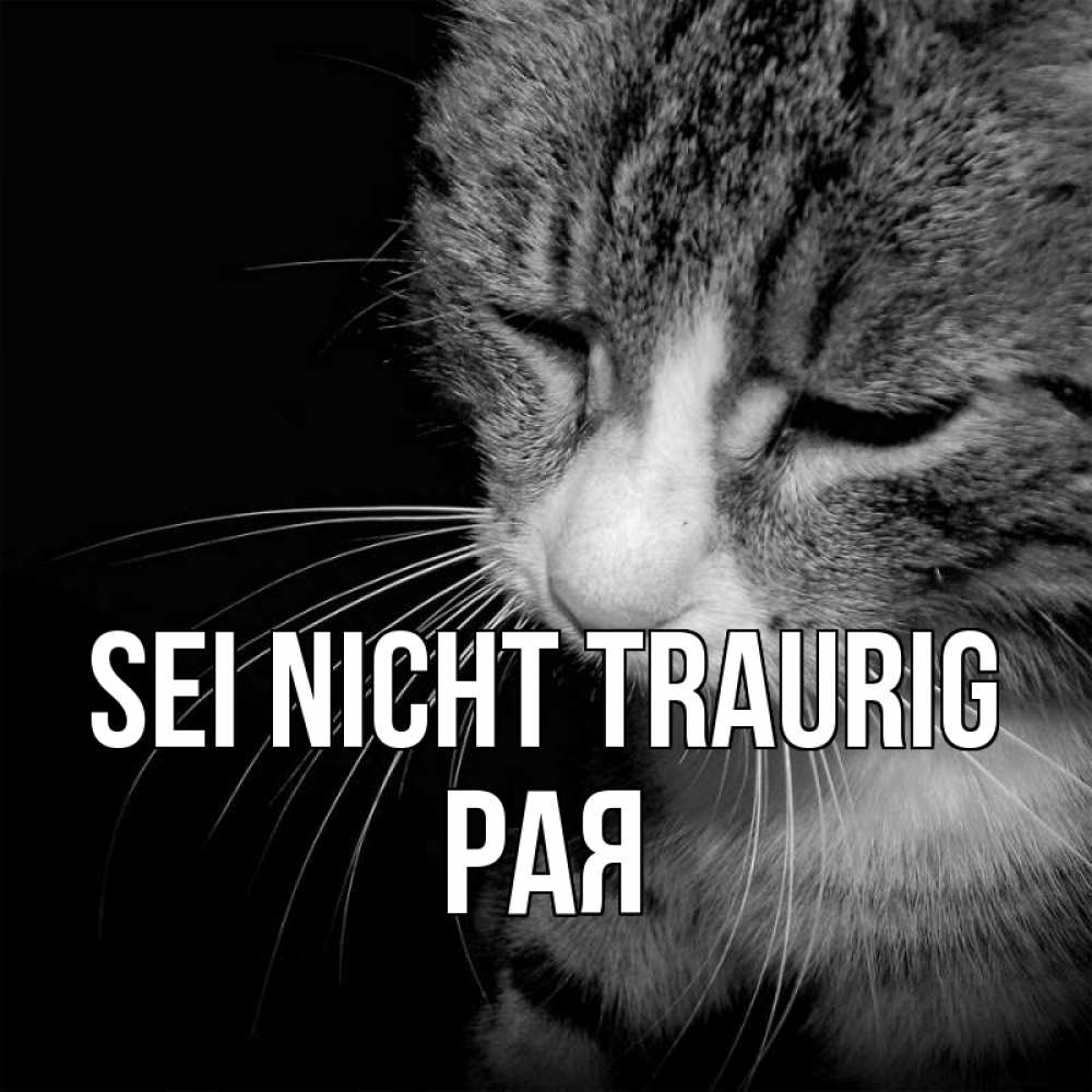 Открытка на каждый день с именем, Рая Sei nicht traurig грустный котик Прикольная открытка с пожеланием онлайн скачать бесплатно 