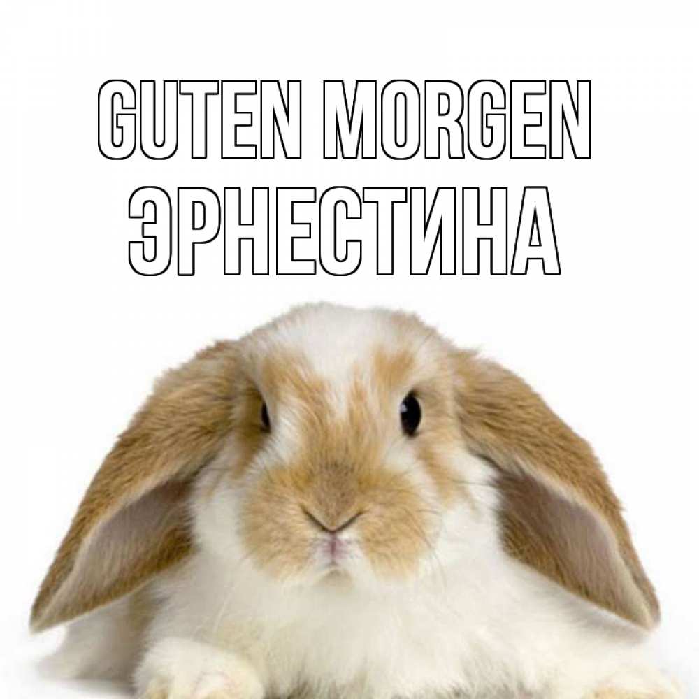 Открытка на каждый день с именем, Эрнестина Guten Morgen прикольные открытки на каждый день Прикольная открытка с пожеланием онлайн скачать бесплатно 