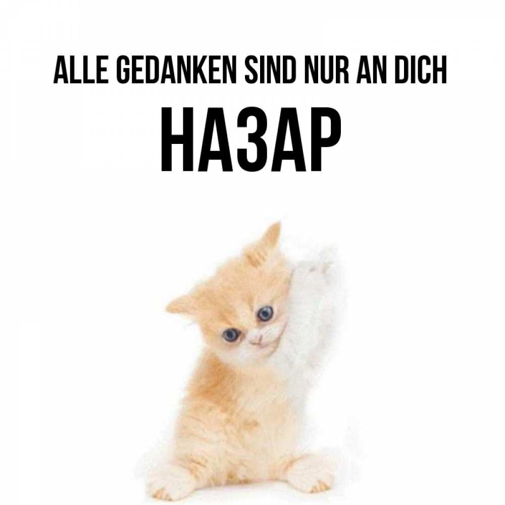 Открытка на каждый день с именем, Назар Alle Gedanken sind nur an dich зверушки и милота Прикольная открытка с пожеланием онлайн скачать бесплатно 