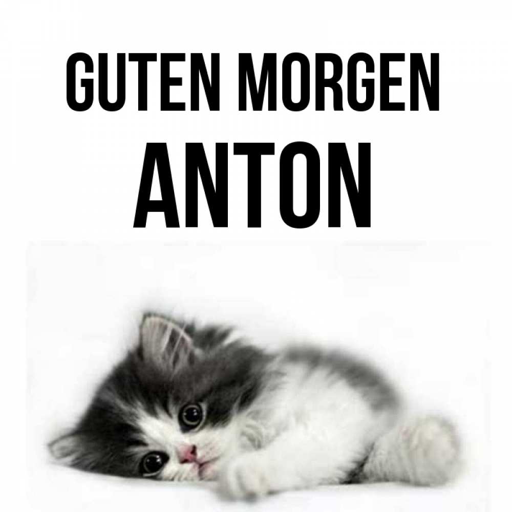 Открытка на каждый день с именем, Anton Guten Morgen кот лапки Прикольная открытка с пожеланием онлайн скачать бесплатно 